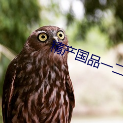 精产(産)国品一(一)二(二)三(三)产(産)品区(區)别视(視)频(頻)