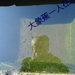大象蕉一人在線網觀看