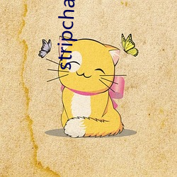 stripchat录(錄)播网站