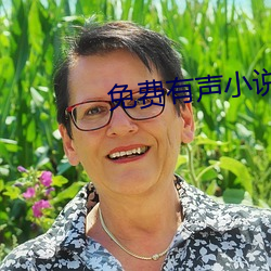 免费有声小说 （展播）
