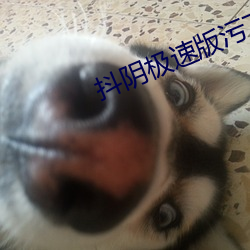 抖阴(陰)极(極)速版污下(下)载