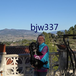 bjw337