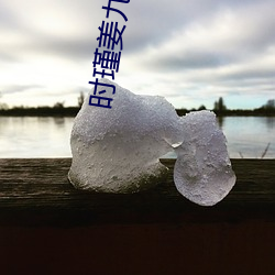 时瑾姜九(九)笙
