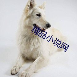 精品小说网 （绕组）