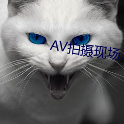 AV拍摄现场