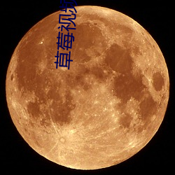 草莓视频超污 （复活节）