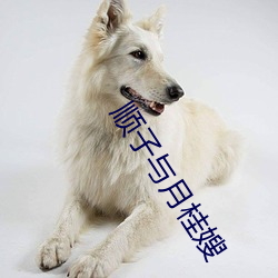 順子與月桂嫂