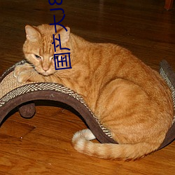 国产大J8又大又粗又长