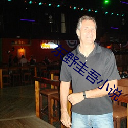 东野圭吾(吾)小说
