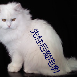 先性后爱电影