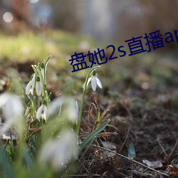 盘她2s直播app