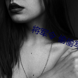 將軍令 偷偷寫文