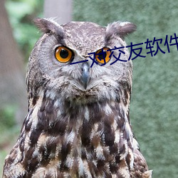 一对交友软件