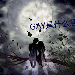 GAY是什么意思