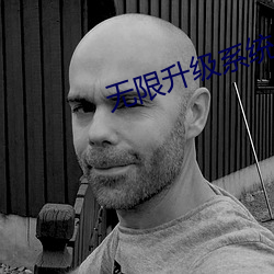 無限升級系統