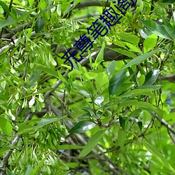 元尊(尊)笔(筆)趣阁