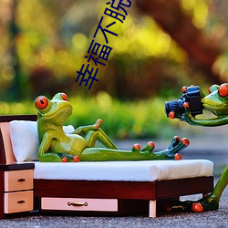 幸福不脫靶