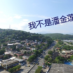 我不是潘金蓮 百度雲