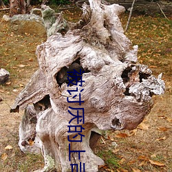 被讨厌(yàn)的上司(sī)强奸至多(duō)次绝