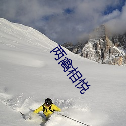 两禽相悦