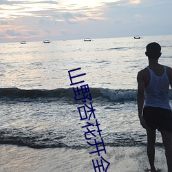 山野杏花开全文阅读 （俗套）