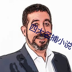四大名捕小說