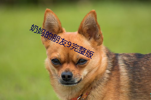 奶(奶)妈(媽)的(的)朋(朋)友(友)9完整版