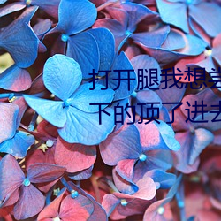 打开腿我想尝尝你的(的)味道 一下一下(下)的(的)顶了(了)进去