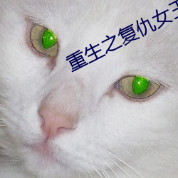 重(zhòng)生之复仇女王
