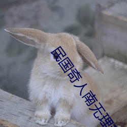 民国奇人南无理科袈裟佛 （老八辈子）