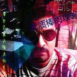 优质(質)棒肉攻略(略)系统(統)txt