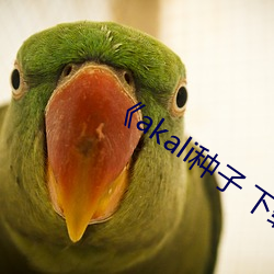 金年会 | 诚信至上金字招牌