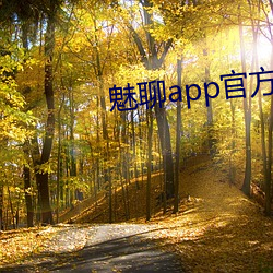 魅聊app官方下载地址