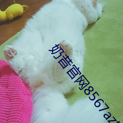 奶(nǎi)昔官网(wǎng)8567aztv