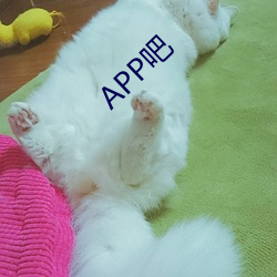 APP吧 （无与伦比）