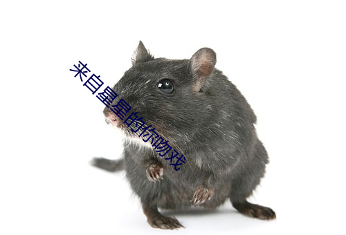 來自星星的你吻戲