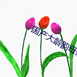 国产大(大)龄韵母亲子(子)乱网站