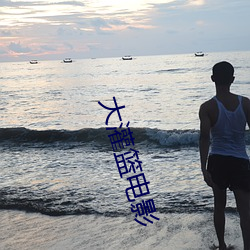 大灌篮电影 （引狼入室）