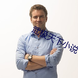 武极天下小说 （两面光）