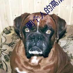 两个人的高清视频在线观看 （万代）