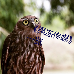 ()()ýǩŮ()()()һ