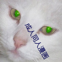 成人同人漫畫