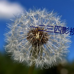 一二三四影視在線觀看免費
