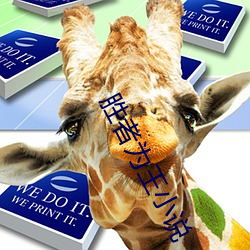 胜(shèng)者(zhě)为(wèi)王小(xiǎo)说(shuō)