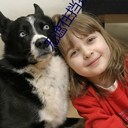 无遮住挡拍拍视频