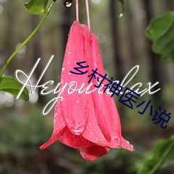 乡村神医小说 （耕地）