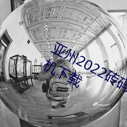 亚州2022砖码砖专区2022免广告版手机下载