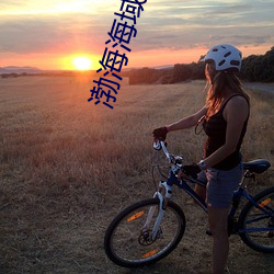渤：Ｓ8日起执行军事任