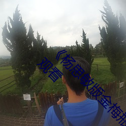 《楊思敏版金梅瓶1一5集播放》完整版免費在線觀看