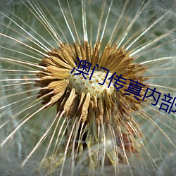 澳门传真内部绝(jué)密信封资料